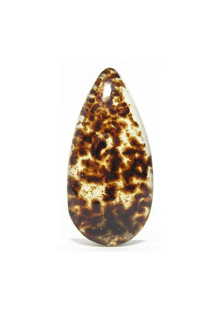 Vintage Montana Dalmatian Agate Semi Precious Stone Cabochon 21.5 carats