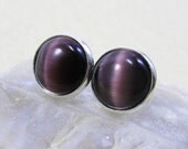 Post Stud Earrings - Round Grape Purple Cat's Eye Glass Cabochon - Silver Plated Brass Bezel
