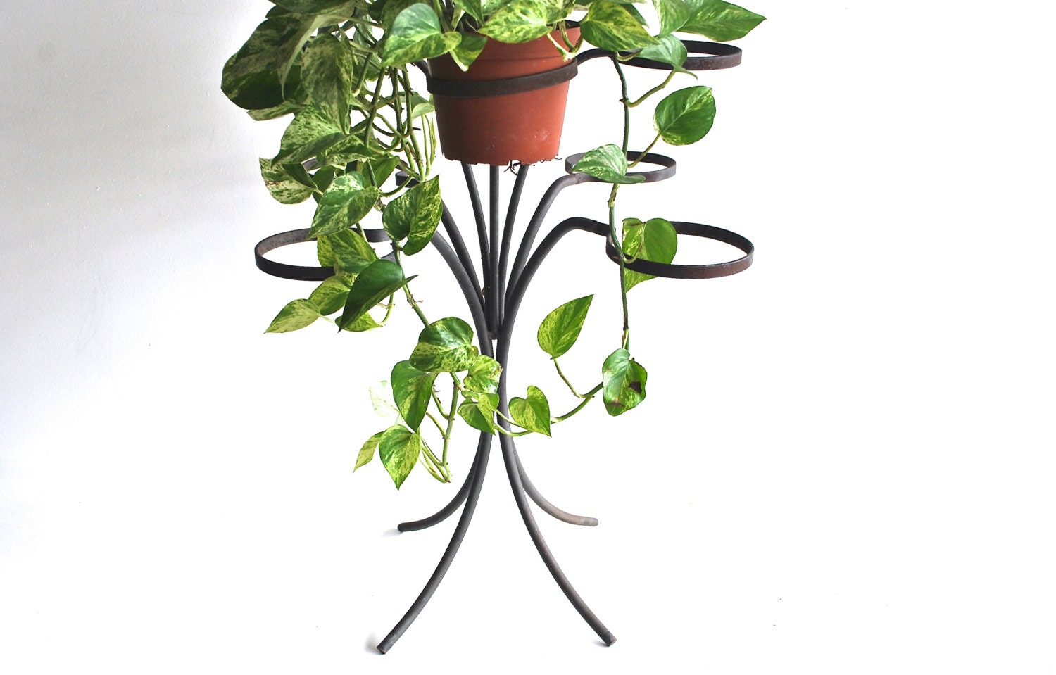 Mid Century Plant Stand - Black Cast Iron - Vintage