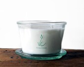 Soy Candle Bonsai Breeze