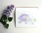 Lilac Note Cards - Set of 5 - Lilacs Watercolor Painting, Purple Flower Card, Floral, Botanical Notecard, Art Card, Spring, Green, White
