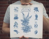 Gin ingredient poster