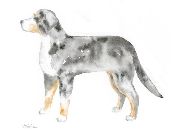 Swiss Mountain Dog Silhouette - Custom Watercolor