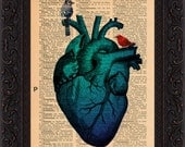 Blue Heart and Birds  Print on upcycled  1930's Spanish encyclopaedia  mixed media digital Page