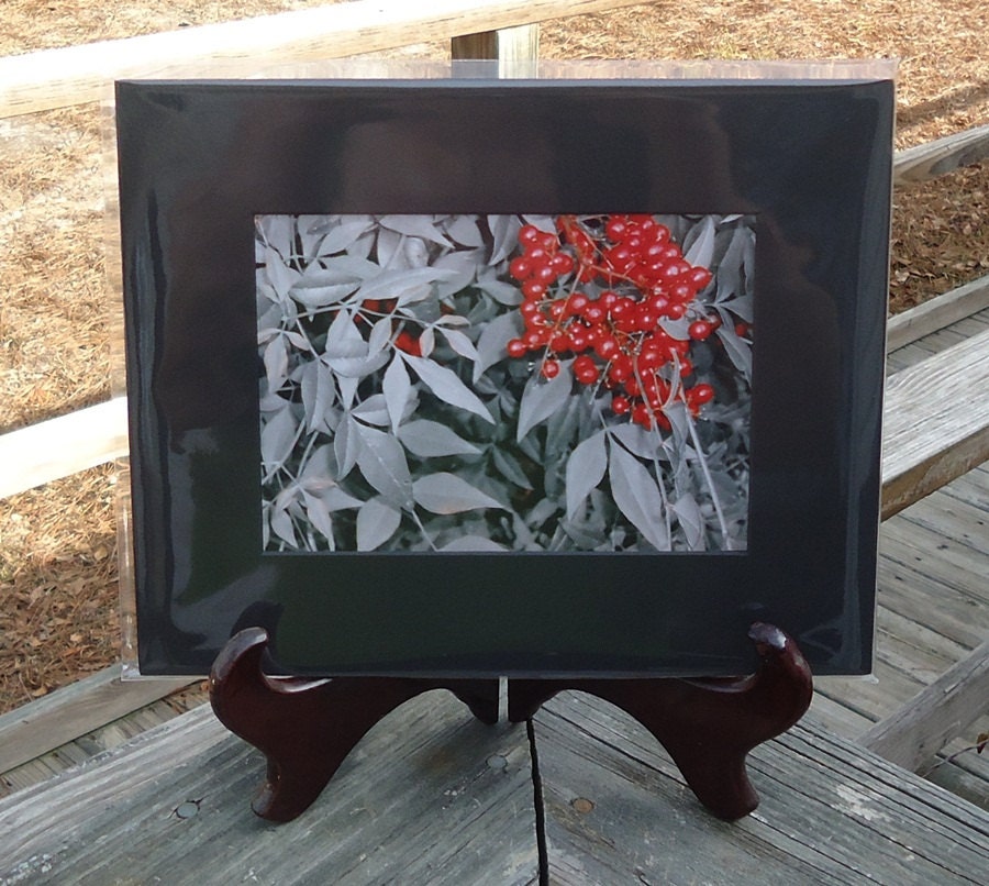 Red Berries, Black & White, Nature Photograph, Matted