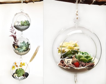 Acorn Hanging Glass Bubble Succulent Terrarium