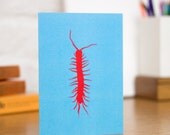 Centipede - insect themed Greetings Card in red and blue