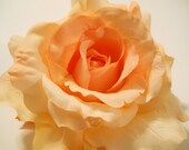 Large Peach to Coral Rose Hair Clip, Real Touch for Wedding, Flower Girl, Bride, Romantic, Headpiece, Gypsy, Lapel or Hat, vlv