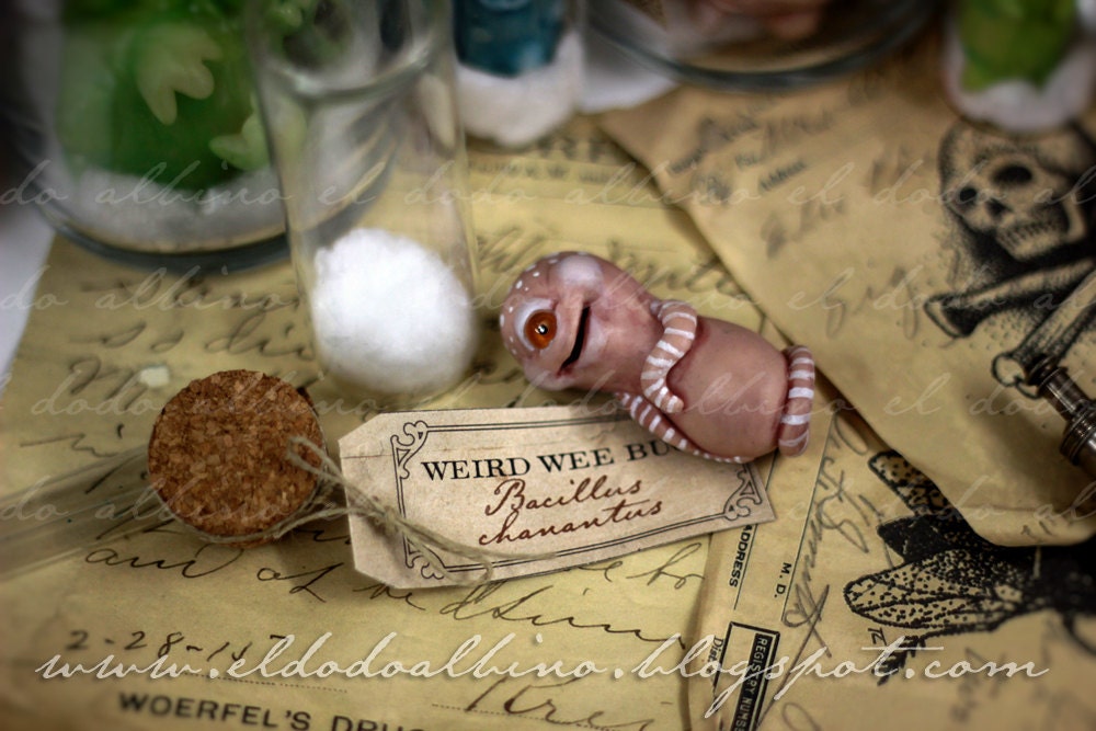 Bottled diseases : Bacillus chanantus , ooak art doll