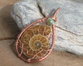 Turquoise Ammonite Nautilus Fossil Pendant, Upcycled Copper Wire Wrapped