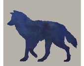 Blue Wolf - 5x7 Mini Print