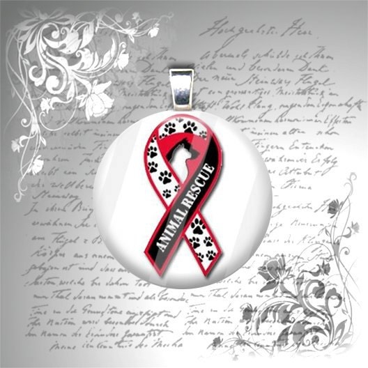 SHOPWIDE SALE - Support Animal Rescue - Adopt a Pet - Red and White Paw Print Ribbon - 1 inch Glass Circle Photo Pendant Necklace