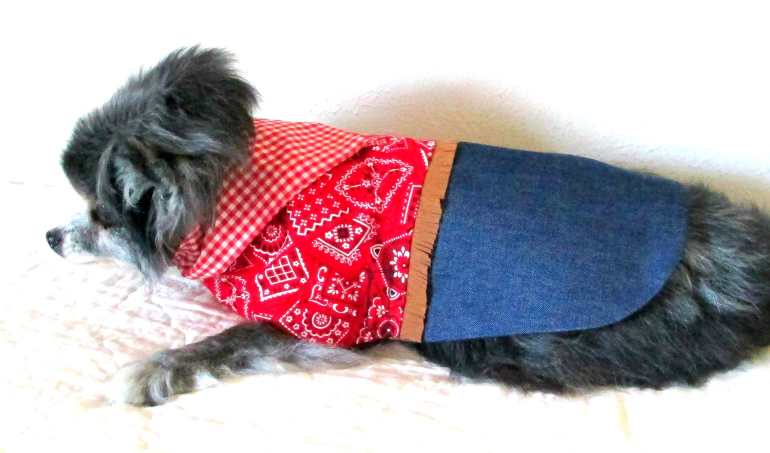 Little Dog's Cowgirl Dress with Bandanna Print Bodice, Fringe, Gingham Scarf and Indigo Denim Skirt