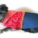 Little Dog's Cowgirl Dress with Bandanna Print Bodice, Fringe, Gingham Scarf and Indigo Denim Skirt
