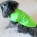 Lime Small Dog Dress Made to Order Satin Bridesmaid's/Formal with Bow - Yorkie Chihuahua