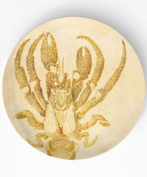 Crustaceans II, Vintage artwork on 10 inch Melamine Plate