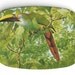 Antique exotic bird artwork reproduced on 10 x 14 melamine platter