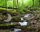 Stream, Brook, River, Digital Download Photography, Fine Art Photo, in the woods, forest, woodland, landscape