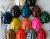 Ladybug Crayon Set of 14