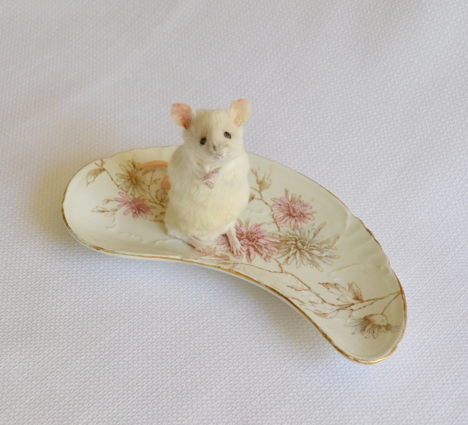 Taxidermy mouse in vintage dish. - NimbleMatters