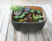 Miniature Koi Pond in Resin