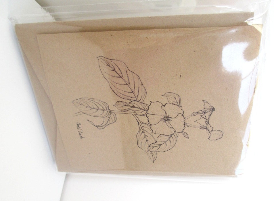 Vinca Jotter Journals - (set of 3 mini journals)