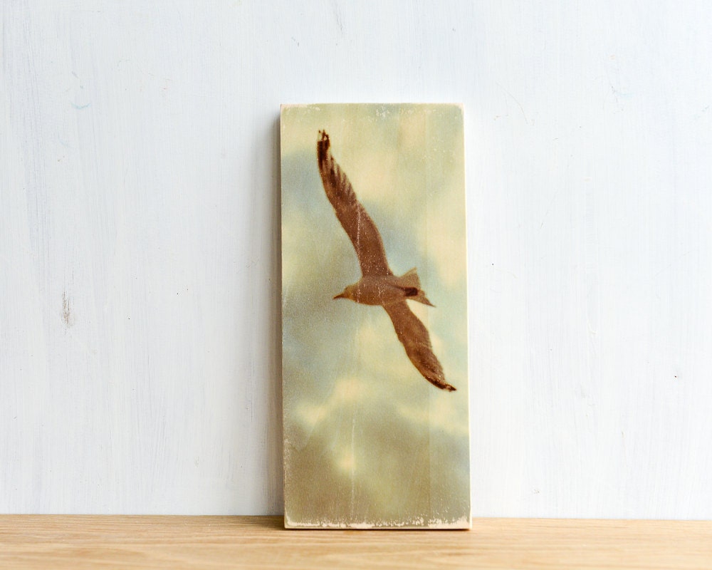 Seagull and Clouds Image Transfer on Wood - by Patrick Lajoie Fine Art Photography
