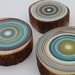 Set of 3 Tree Rings - Eco Friendly Wall Art -