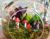 Jumbo 8" Fairy Houses and Green Plant Moss Terrarium with Charm - The Perfect Birthday Gift