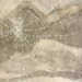 Icarus - Original Drawing Lg