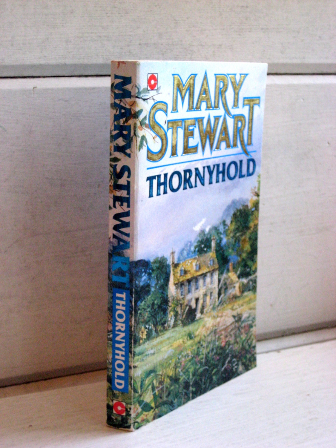 Mary Stewart, Thornyhold, Vintage Paperback novel, a romantic, mystical, magical love story