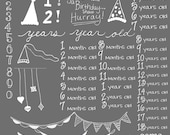 Birthday, Numbers, Banners, and Buntings Photoshop Brushes/ Overlays for Photographers / chalk/ Clip Art / Stamps / Digital Scrapbooking