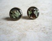 Black Lichen Studs by Heron and Lamb