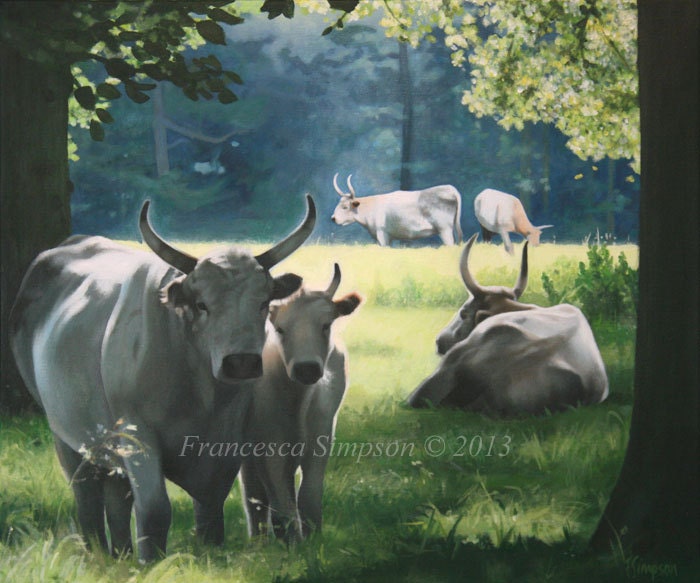 Chillingham Wild Cattle in Summer - Limited edition print