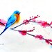 Original Watercolor Painting - Bluebird Painting - Bird Art - Cherry Blossoms - Watercolor Painting- Wall Decor