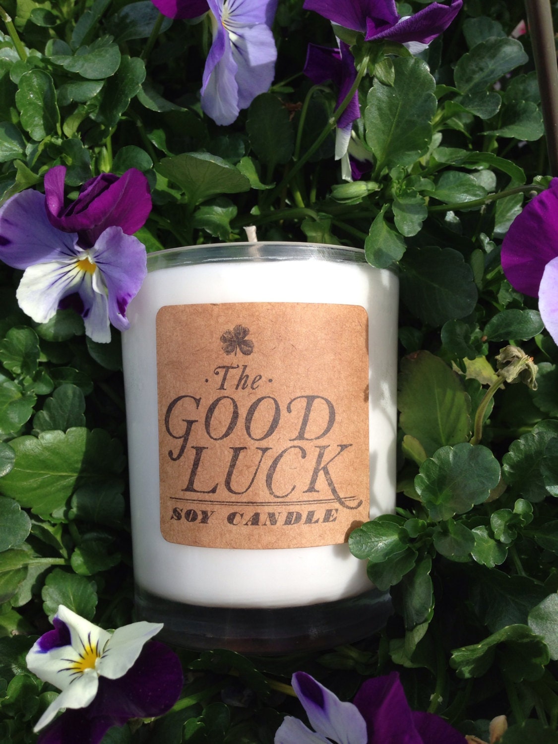 The Good Luck Candle Soy Candles with Money Inside - Pink Blush