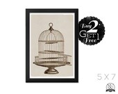 The Bird Cage, 5X7 Vintage Print, Art Print and Home Decor, Buy 2 Get 1 Free
