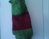 Green and Maroon Yoga Mat Bag