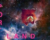 Portland Cat Bow Tie Postcard - SPACE