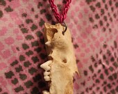 Canine Lower Jawbone Necklace