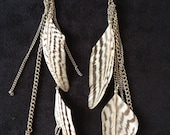 Feather Dangle Earrings