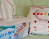 Organic Fitted Cloth Diaper & 12 Wipes