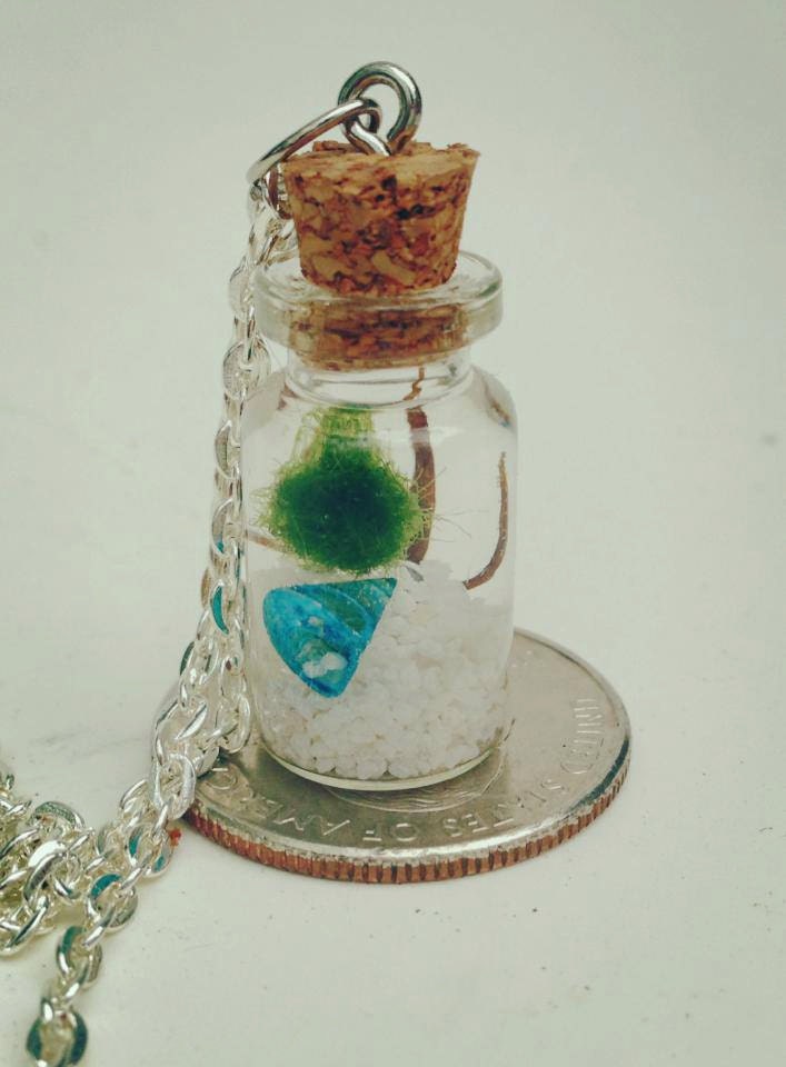 marimo terrarium necklace with live marimo moss ball pet