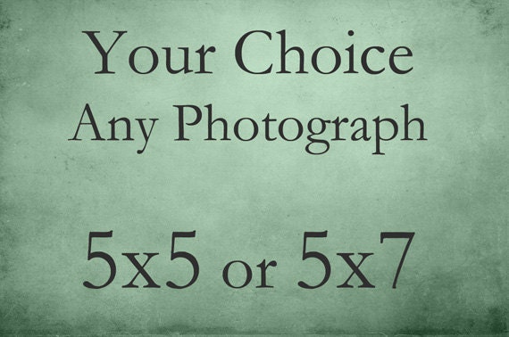 Any photograph printed at 5x5 or 5x7, fine art photography flower nature landscape