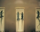 Little Geckos - 12 x 8 Fine Art Photography Print from 35mm film