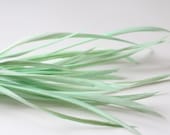 Mint Green Biot Feathers 6"-10" in length / 10 feathers - HeartyArtSupplies