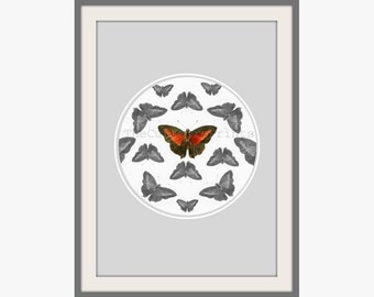 Butterfly Print Grey Orange 10.5 by 15 inches Vintage Illustration Spring Home Decor