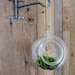 ONE Handblown Glass Terrarium on Steel Swing Rack mobile hanger hook indoor Terrarium garden votive holder