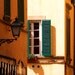 Burnt Sienna
