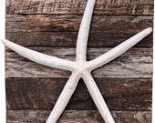 Beach Decor on Driftwood Panel for Coastal Decor. Pencil Starfish